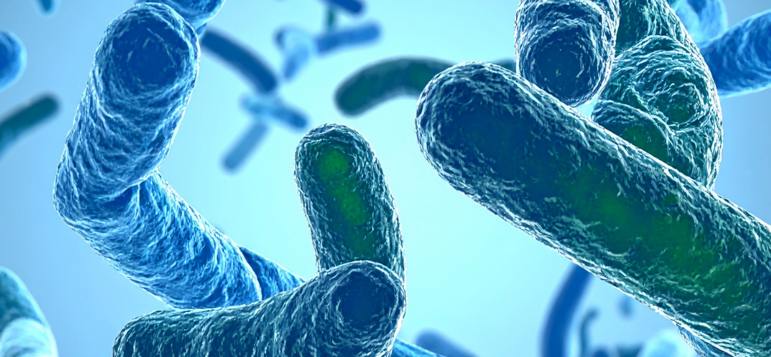 מיקרוביום ושיקום פיזיותרפי